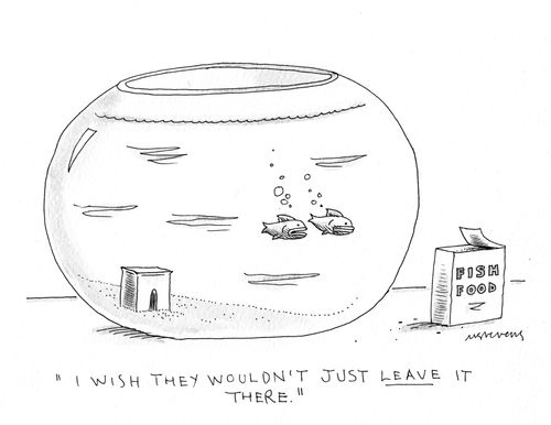 "I wish they wouldn't just leave it there."