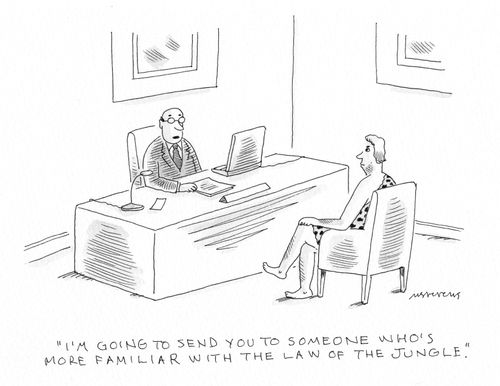 "I'm going to send you to someone who's more familiar with the law of the jungle."