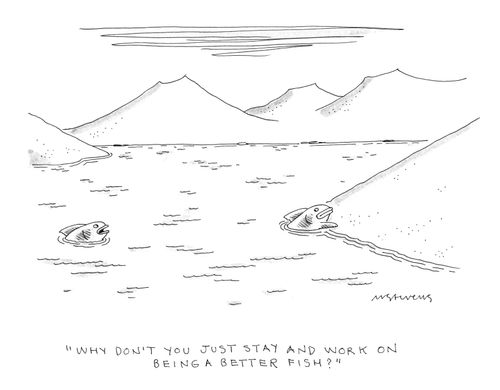 "Why don't you just stay and work on being a better fish?"