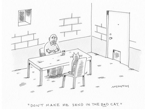 "Don't make me send in the bad cat."