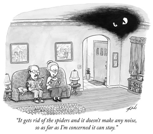 "It gets rid of the spiders and it doesn't make any noise, so as far as I'm concerned it can stay."