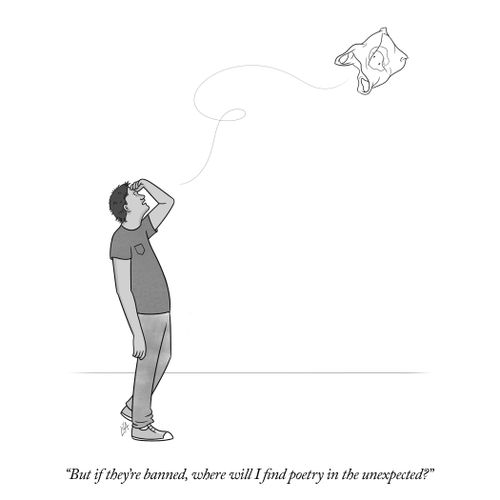 "But if they're banned, where will I find poetry in the unexpected?"