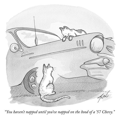 "You haven't napped until you've napped on the hood of a '57 Chevy."