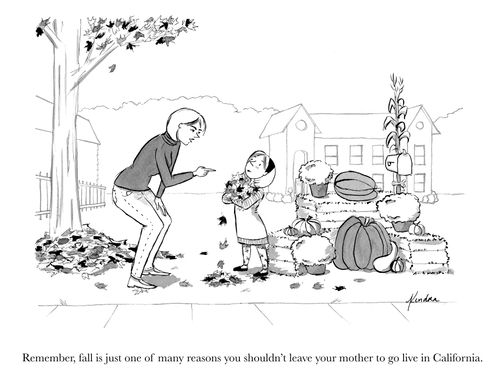 "Remember, fall is just one of many reasons you shouldn't leave your mother to go live in California."