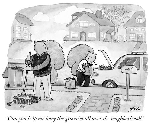 "Can you help me bury the groceries all over the neighborhood."