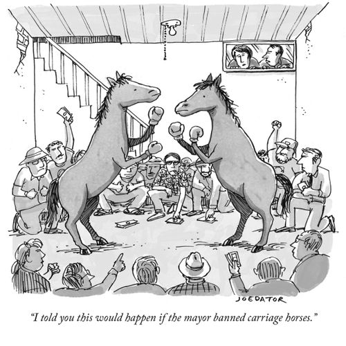 "I told you this would happen if the mayor banned carriage horses."