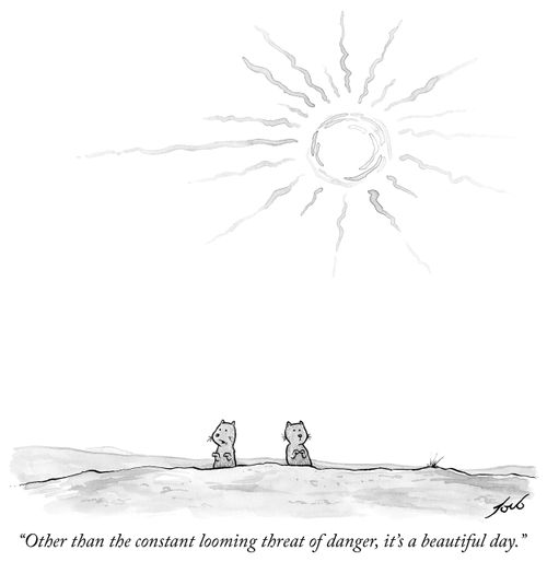 "Other than the constant looming threat of danger, it's a beautiful day."