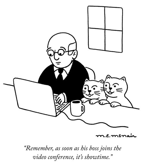 "Remember, as soon as his boss joins the video conference, it's showtime."