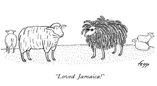 "Loved Jamaica!"