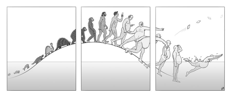 Evolution
