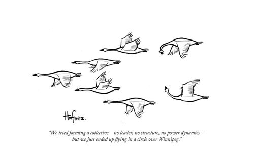 "We've tried forming a collective--no leader, no power dynamics, but we just ended up flying in a circle over Winnipeg."