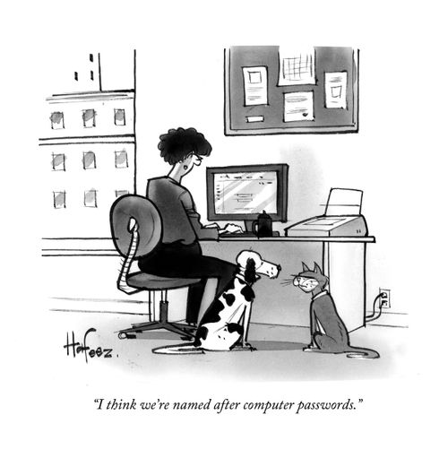 "I think we're named after computer passwords."