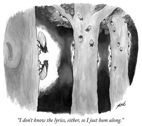 "I don't know the lyrics either, so I just hum along."