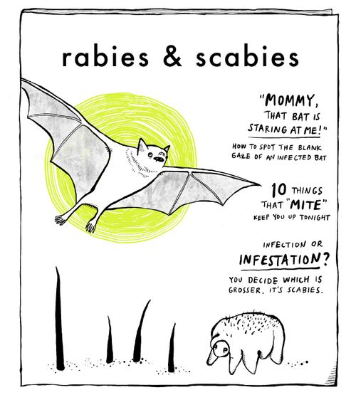 Rabies & Scabies