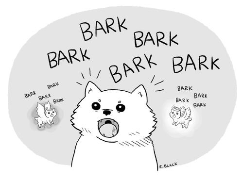 Bark bark bark bark