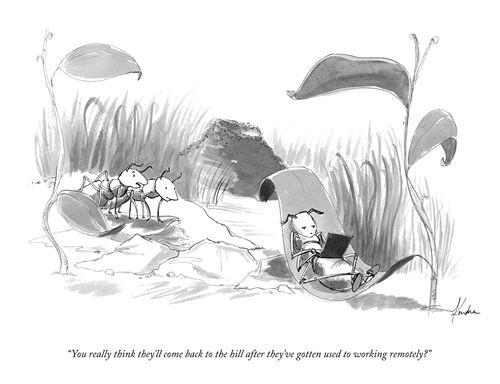  "You really think they'll come back to the hill after they've gotten used to working remotely?"