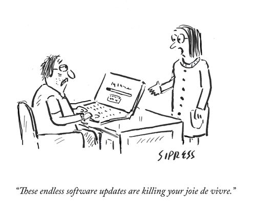 "These endless software updates are killing your joie de vivre."