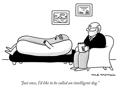 "Just once, I'd like to be called an intelligent dog."