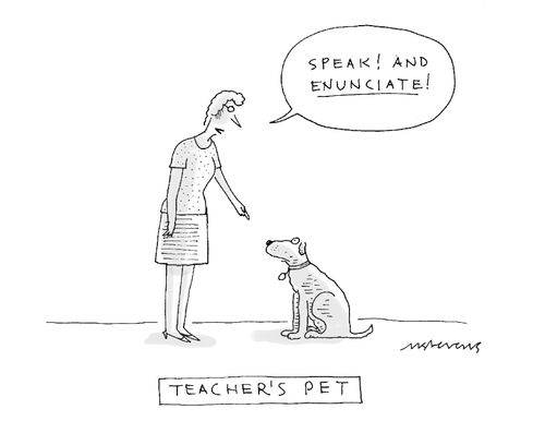 Teacher's Pet