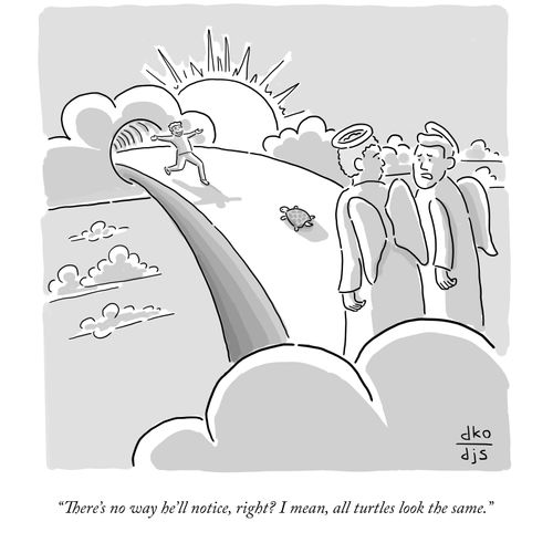  "There's no way he'll notice, right? I mean, all turtles look the same."