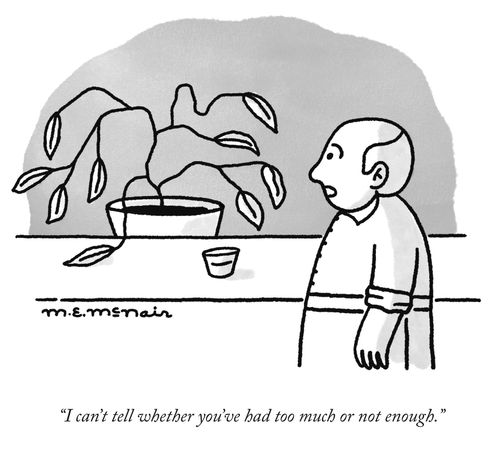 "I can't tell whether you've had too much or not enough."