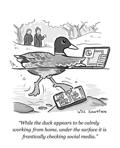 "While the duck appears to be calmly working from home, under the surface it is frantically checking social media."