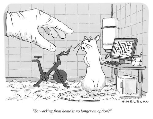 "So working from home is no longer an option?"