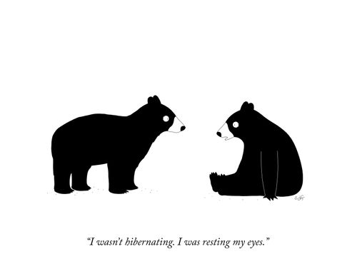 "I wasn't hibernating. I was resting my eyes."