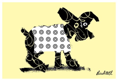 Hair of the dog spot: miniature schnauzer