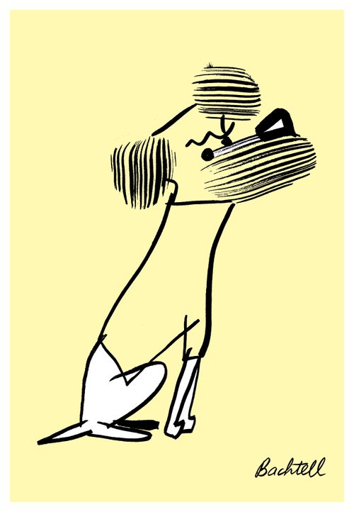 Dog with bald spots wearing jumper.