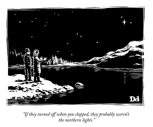 "If they turned off when you clapped, they probably weren't the northern lights."