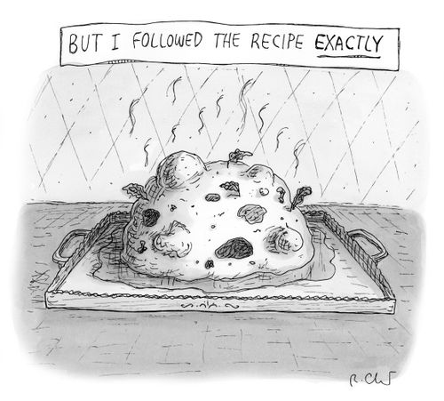 But I followed the recipe exactly.