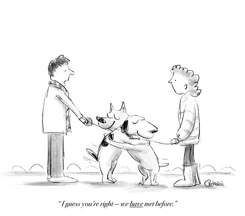 "I guess you're right - we have met before."