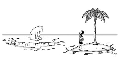 Polar Bear Desert Island