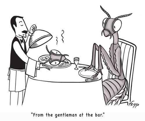"From the gentleman at the bar."