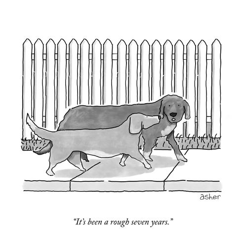 "It's been a rough seven years."