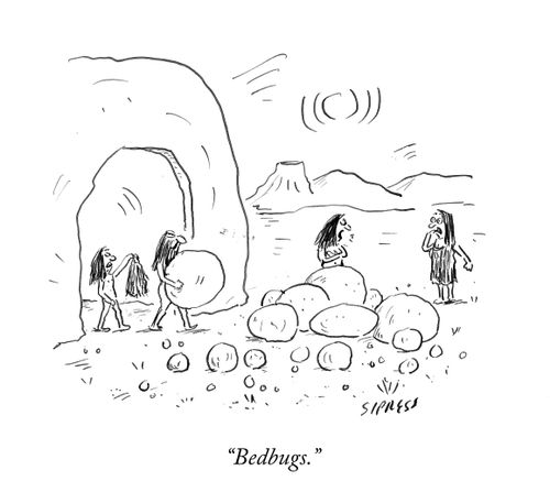 "Bedbugs."