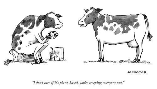 "I don't care if it's plant-based, you're creeping everyone out."