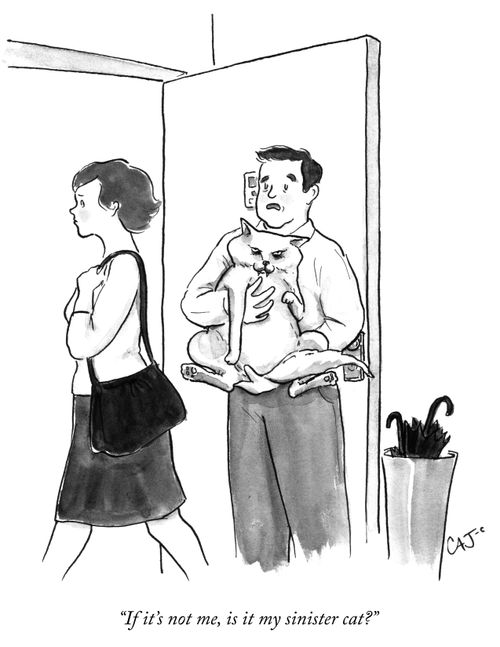 "If it's not me, is it my sinister cat?"