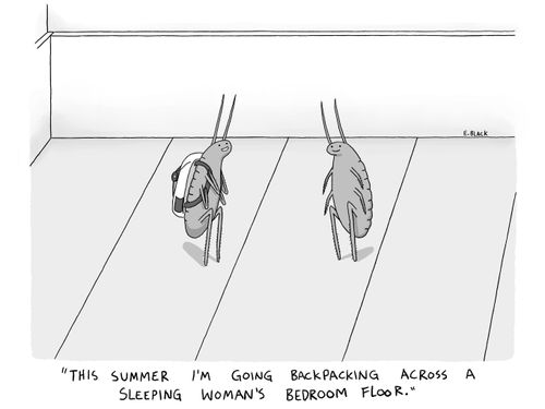 "This summer I'm going back packing across a sleeping woman's bedroom floor."