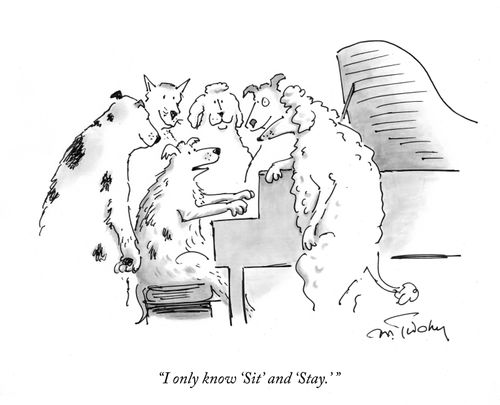 "I only know 'Sit' and 'Stay.' "
