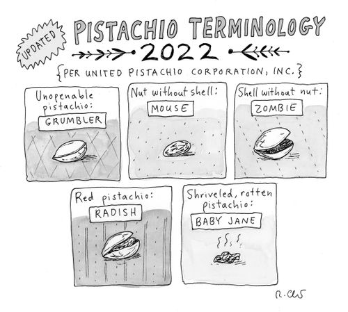 NYer uploaded by mod - Pistachio Terminology 2022