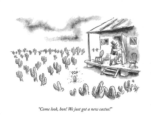 NYer uploaded by mod - "Come look, hon! We just got a new cactus!"