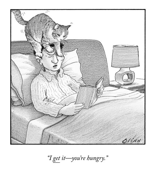 "It get it – you're hungry."