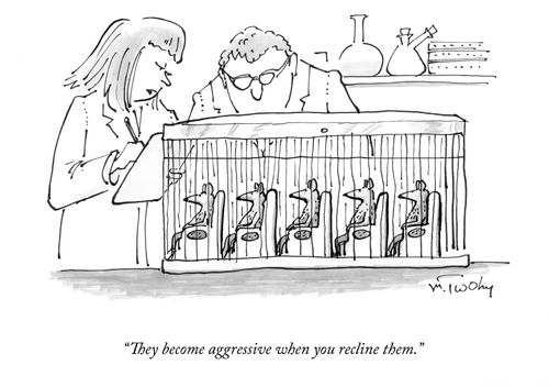 "They become aggressive when you recline them."