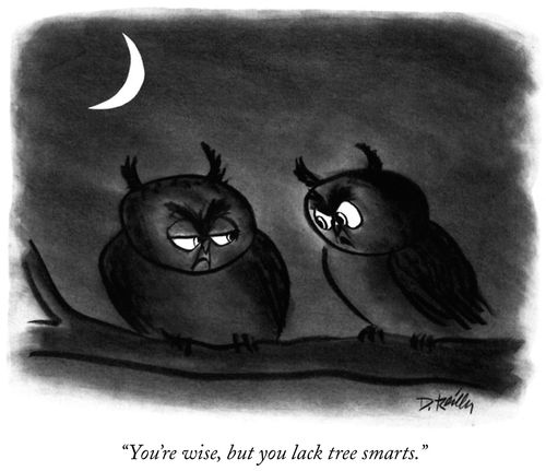 "You're wise, but you lack tree smarts."