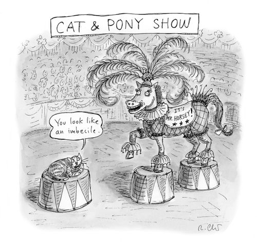 Cat & Pony Show