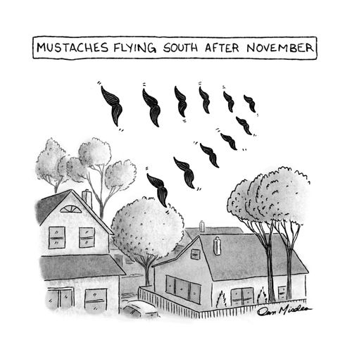 Mustaches Flying South After November