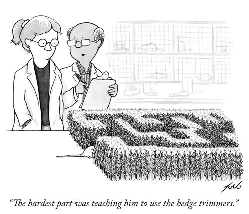 "The hardest part was teaching him to use the hedge trimmers."