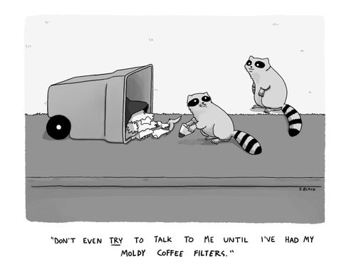 "Don't even try to talk to me until I've had my moldy coffee filters."